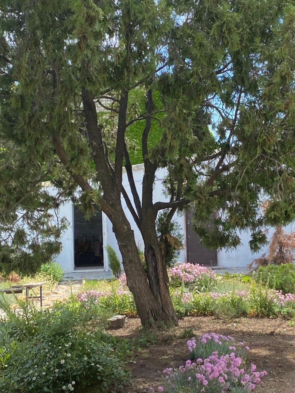אפרטהוטל ואפניארקה Bukhta מראה חיצוני תמונה